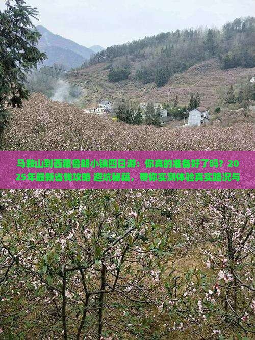 马鞍山到西藏鲁朗小镇四日游