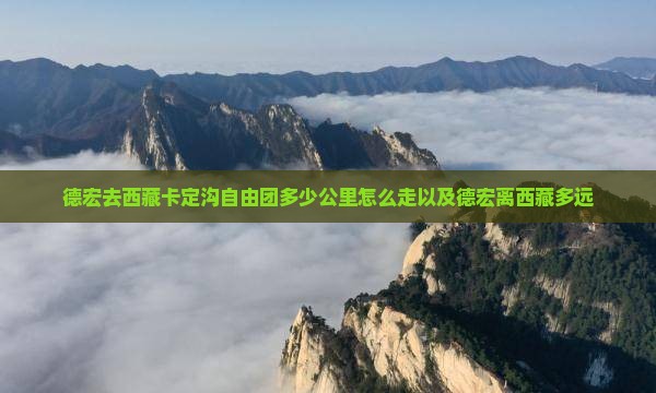 德宏去西藏卡定沟自由团