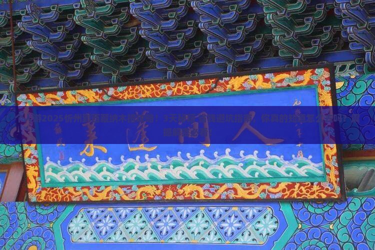 忻州到西藏纳木措个人游