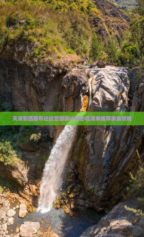 天津到西藏布达拉宫旅游小吃
