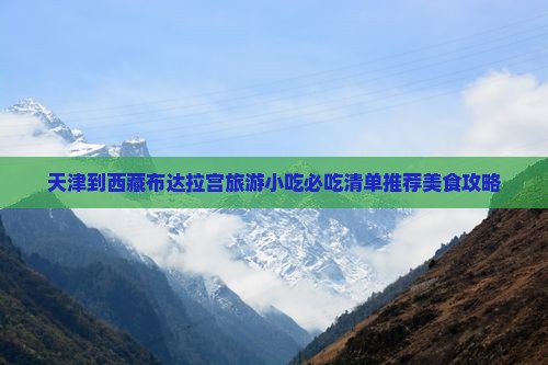 天津到西藏布达拉宫旅游小吃