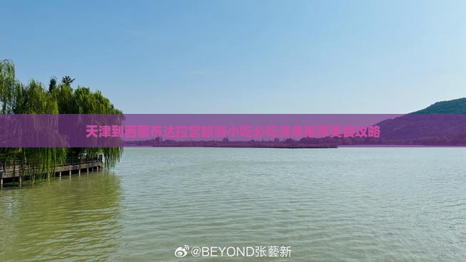天津到西藏布达拉宫旅游小吃