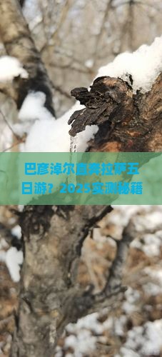 巴彦淖尔到西藏拉萨五日游