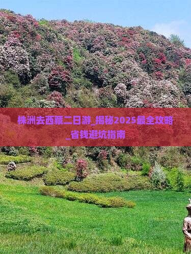 株洲去西藏二日游