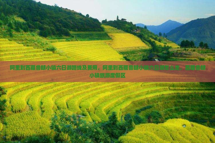 阿里到西藏鲁朗小镇六日游