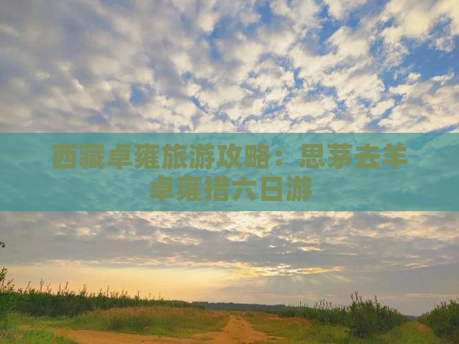 思茅去西藏羊卓雍措六日游