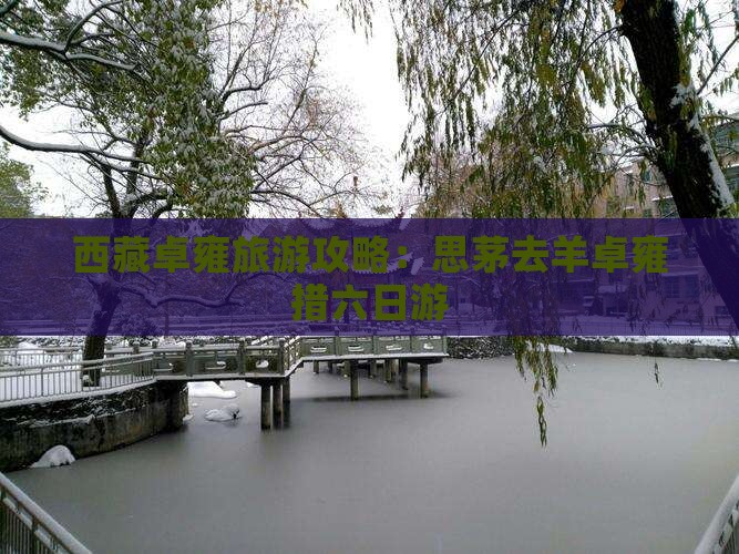 思茅去西藏羊卓雍措六日游