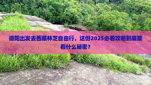 德阳去西藏林芝自由行