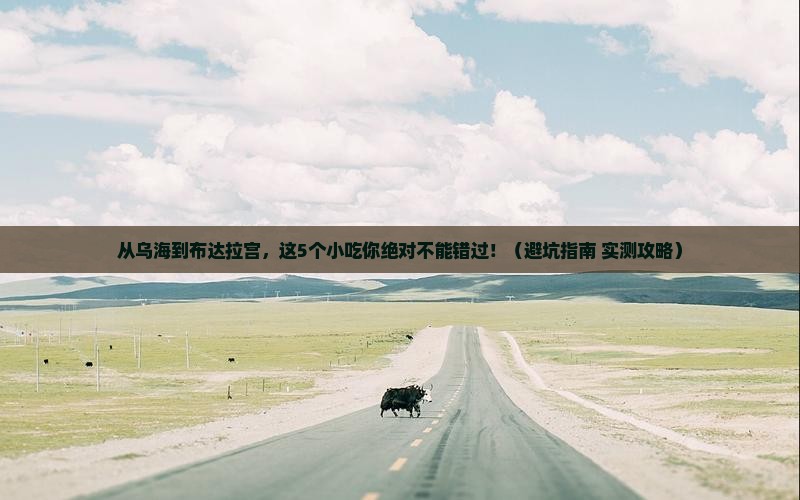 乌海市到西藏布达拉宫旅游小吃