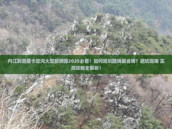 内江到西藏卡定沟大型旅游团