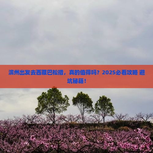 滨州去西藏巴松措攻略