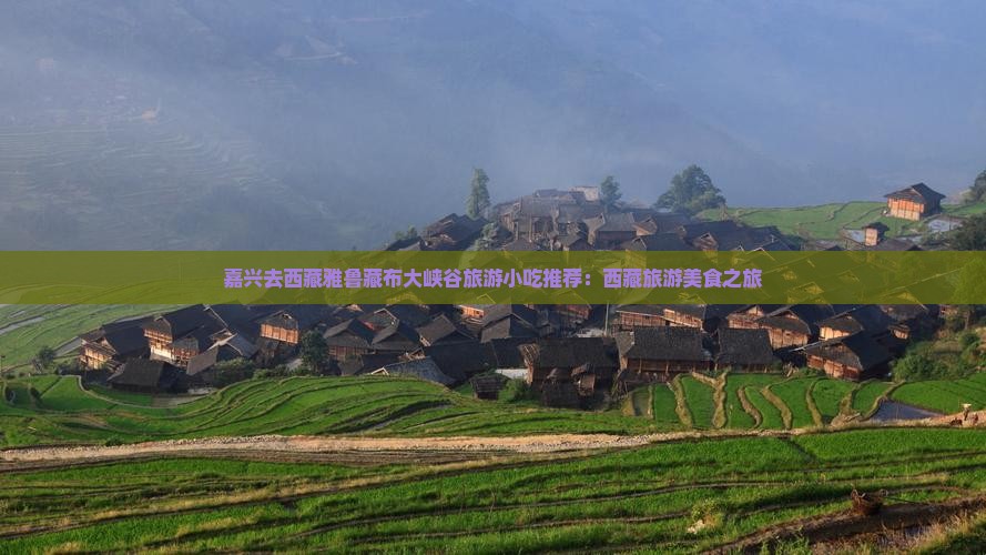 嘉兴去西藏雅鲁藏布大峡谷旅游小吃