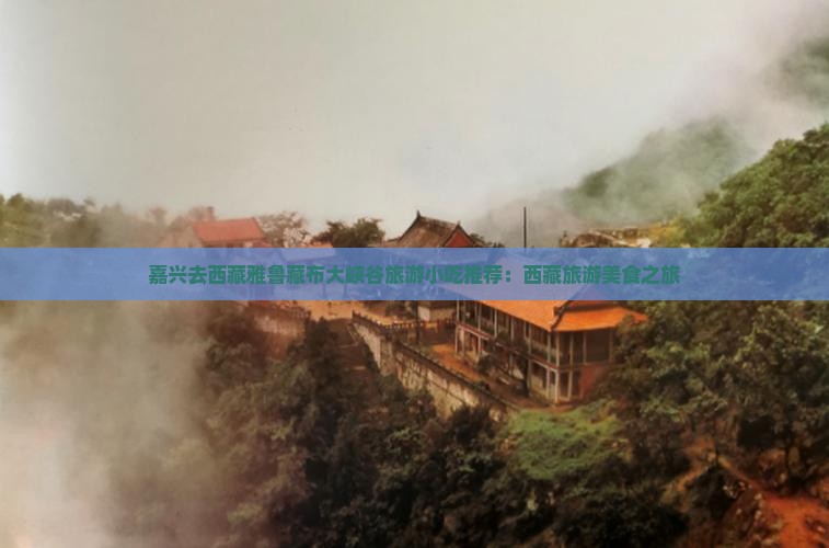 嘉兴去西藏雅鲁藏布大峡谷旅游小吃
