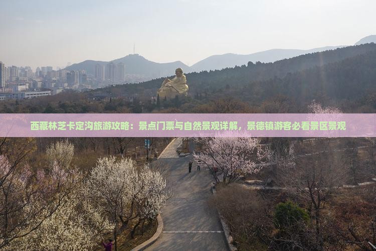 景德镇到西藏卡定沟门票