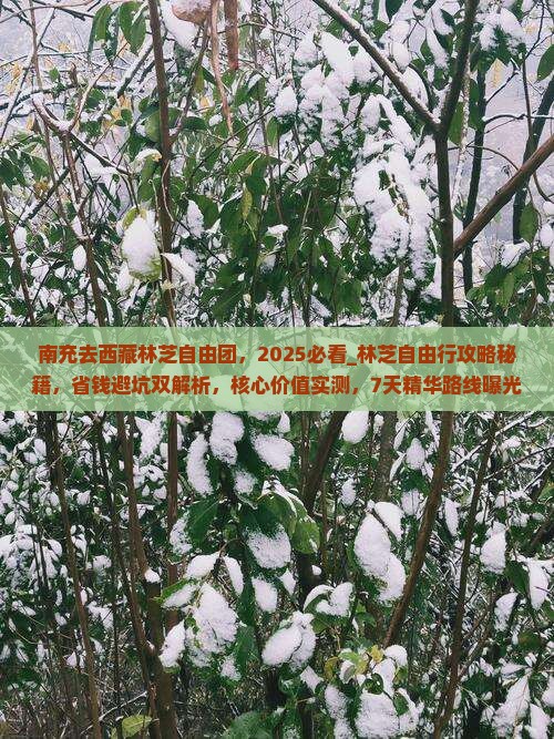 南充去西藏林芝自由团