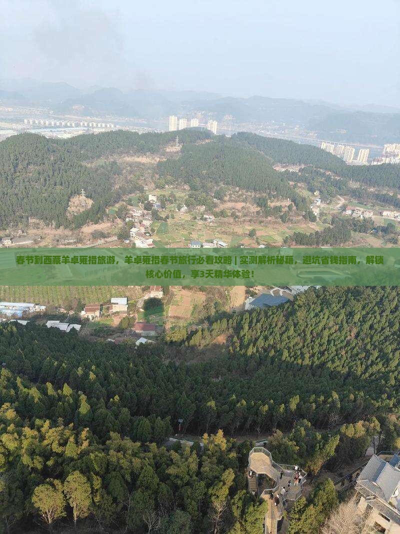 春节到西藏羊卓雍措旅游