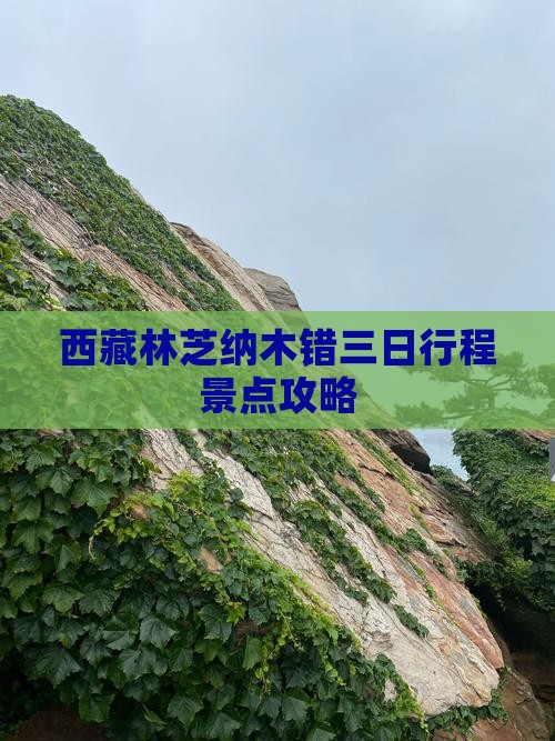 林芝去西藏纳木措三日游