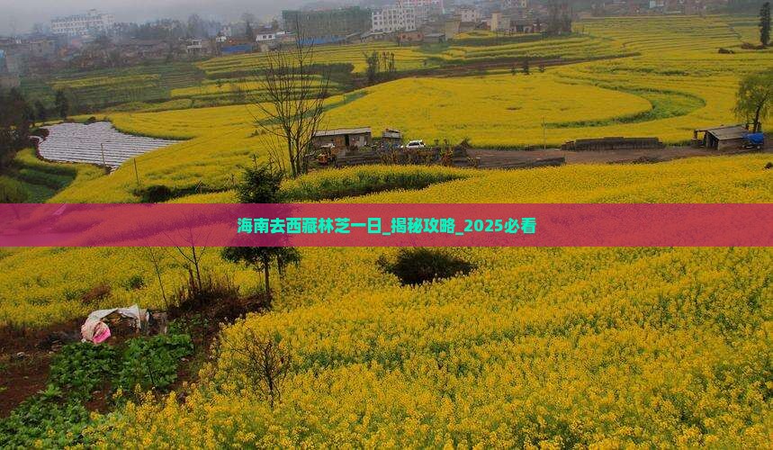 海南去西藏林芝一日