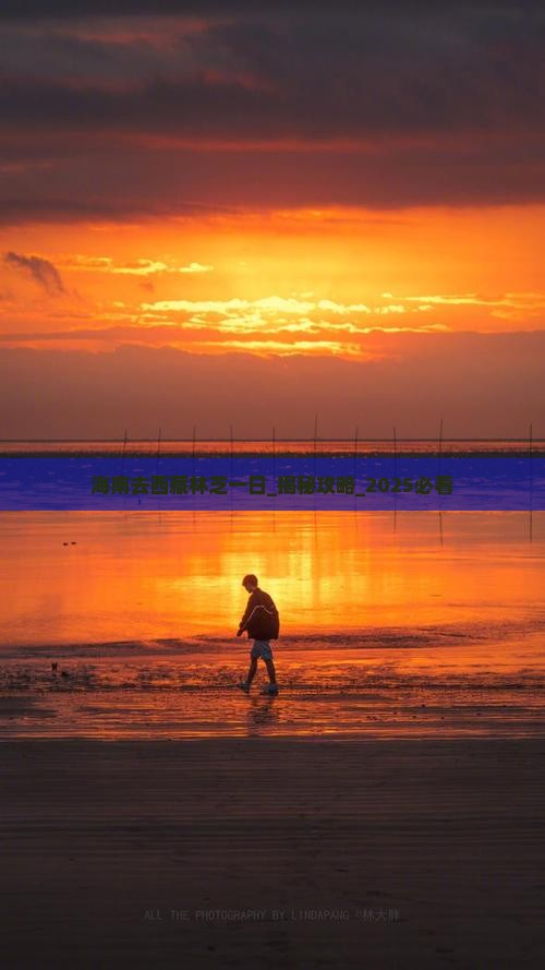 海南去西藏林芝一日