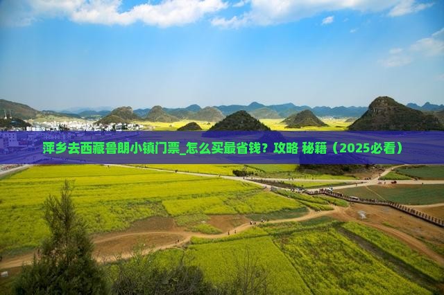 萍乡去西藏鲁朗小镇门票
