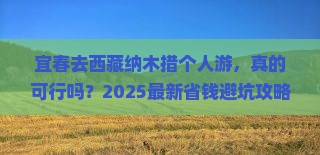 宜春去西藏纳木措个人游