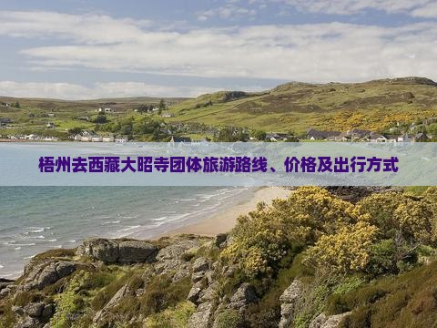 梧州去西藏大昭寺团体旅游 梧州去西藏大昭寺团体旅游