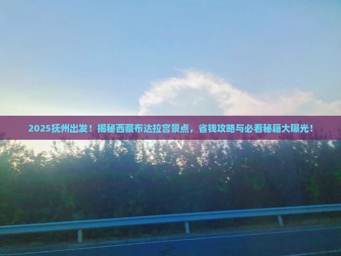 抚州到西藏布达拉宫景点