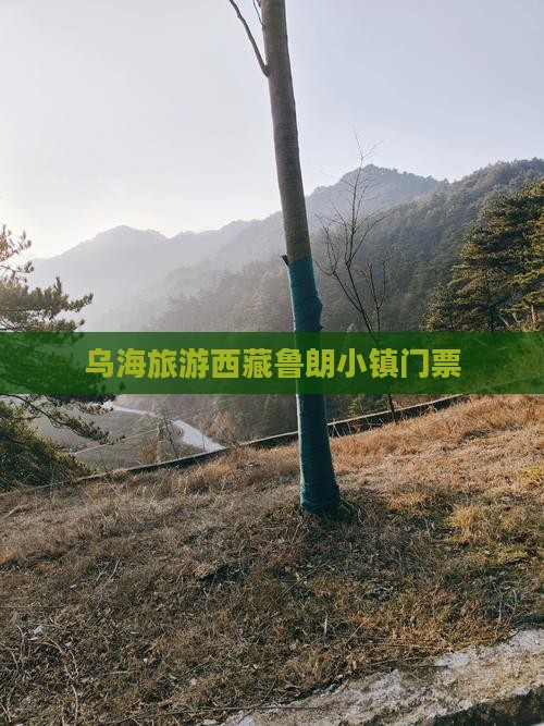 乌海去西藏鲁朗小镇门票