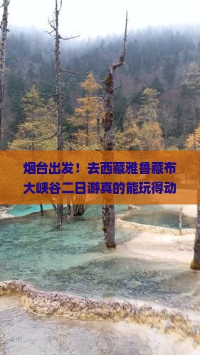 烟台去西藏雅鲁藏布大峡谷二日游