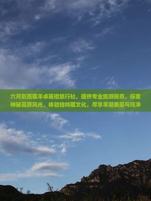 六月到西藏羊卓雍措旅行社