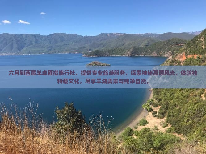六月到西藏羊卓雍措旅行社