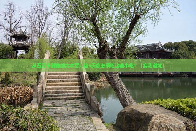 石河子去西藏珠峰大本营旅游小吃