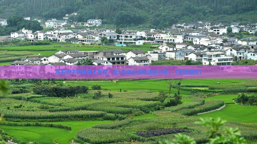 石河子去西藏珠峰大本营旅游小吃