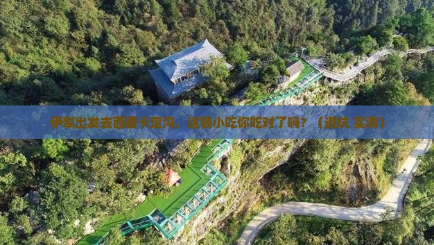 伊犁去西藏卡定沟旅游小吃