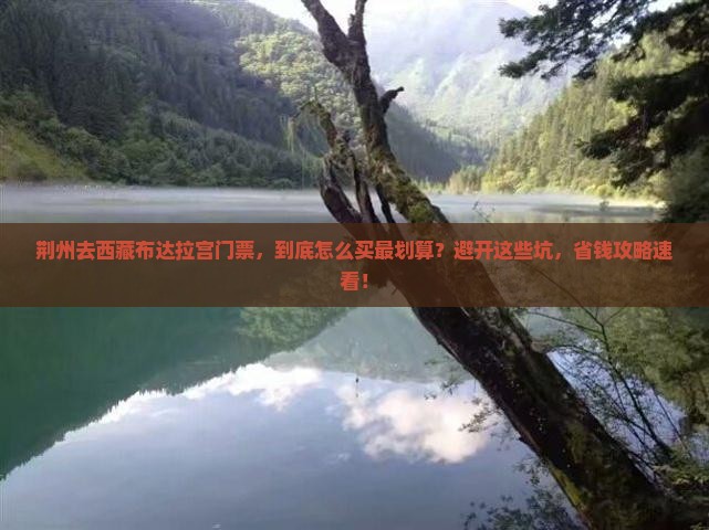 荆州去西藏布达拉宫门票