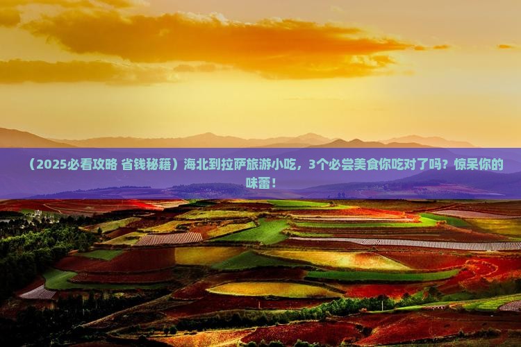 海北到西藏拉萨旅游小吃