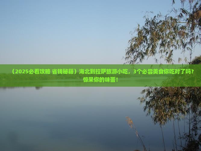 海北到西藏拉萨旅游小吃