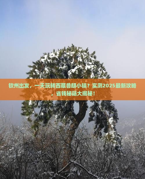 钦州去西藏鲁朗小镇一日