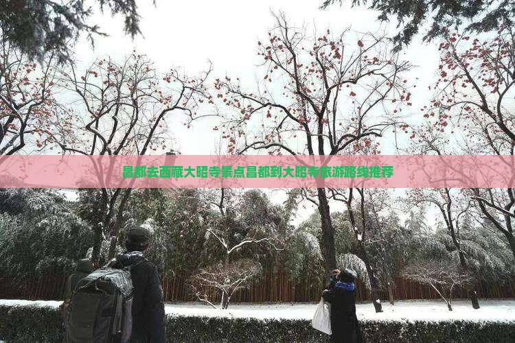 昌都去西藏大昭寺景点