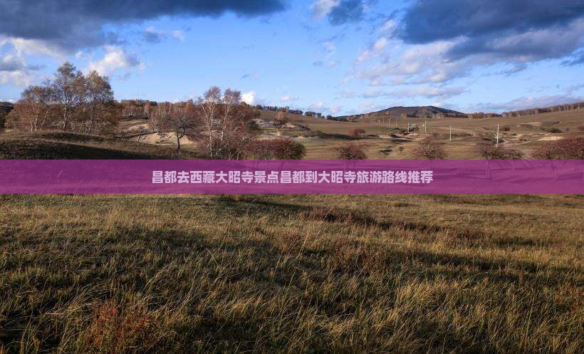 昌都去西藏大昭寺景点