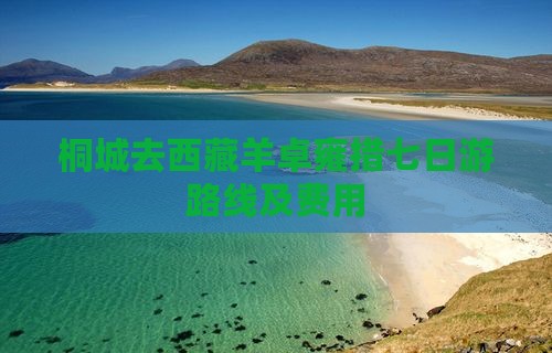 桐城去西藏羊卓雍措七日游