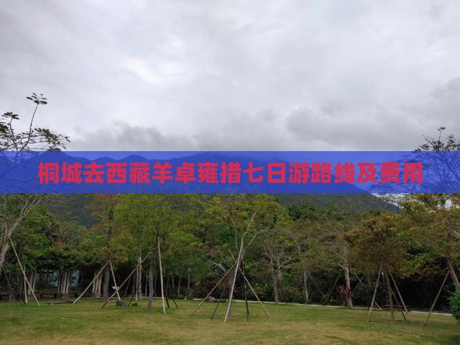 桐城去西藏羊卓雍措七日游