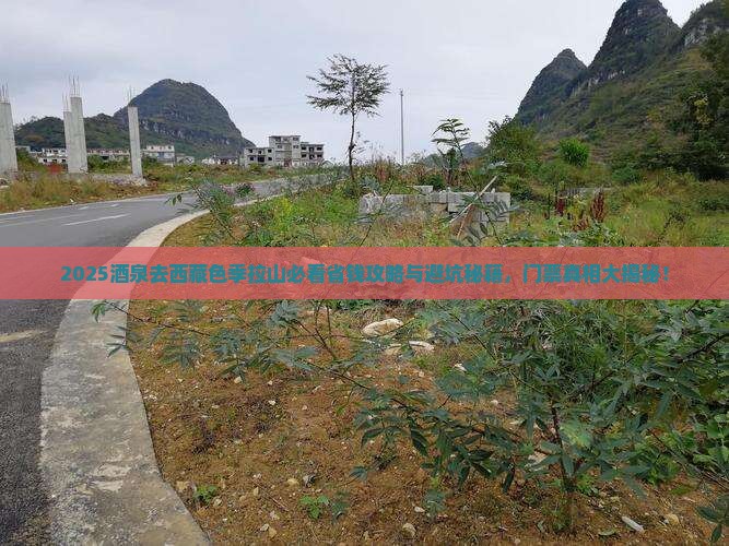酒泉去西藏色季拉山门票