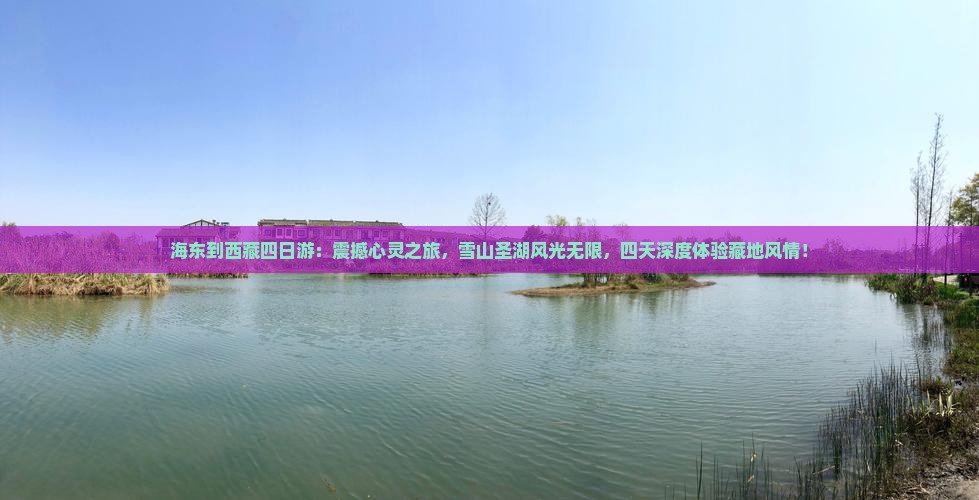海东到西藏四日游