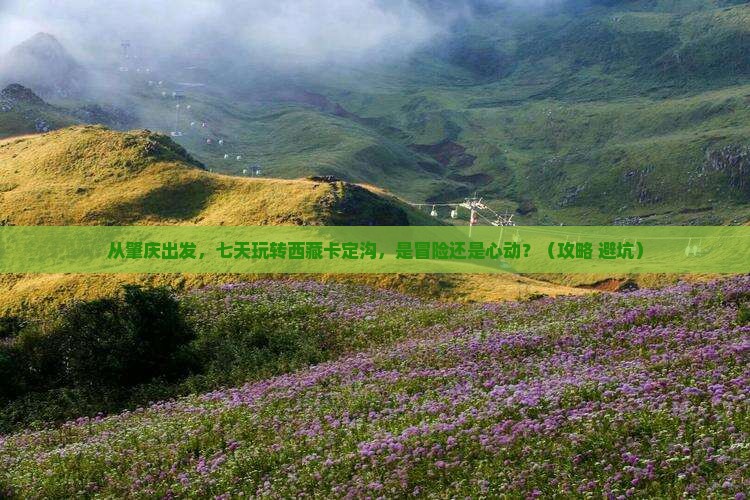 肇庆到西藏卡定沟七日游