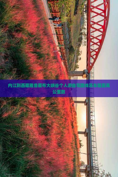 内江到西藏雅鲁藏布大峡谷个人游