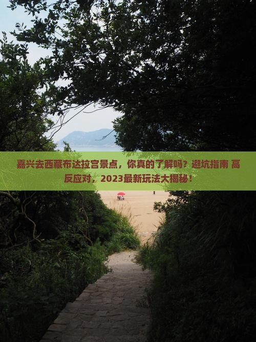 嘉兴去西藏布达拉宫景点