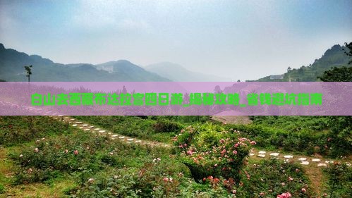 白山去西藏布达拉宫四日游