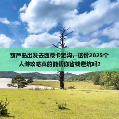 葫芦岛去西藏卡定沟个人游