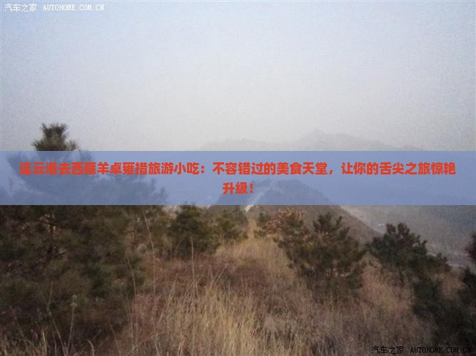 连云港去西藏羊卓雍措旅游小吃